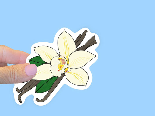 Vanilla FlowerSticker, Waterproof Vinyl Decal, Laptop Sticker, Water Bottle Sticker, Aesthetic Stickers, choice of size