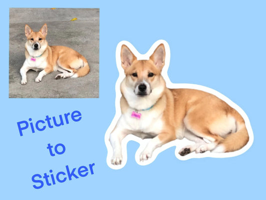 Waterproof, UV Resistant Die Cut Photo Sticker - Durable Vinyl Sticker for Water Bottles, Journals, Car Windows, Laptops & More