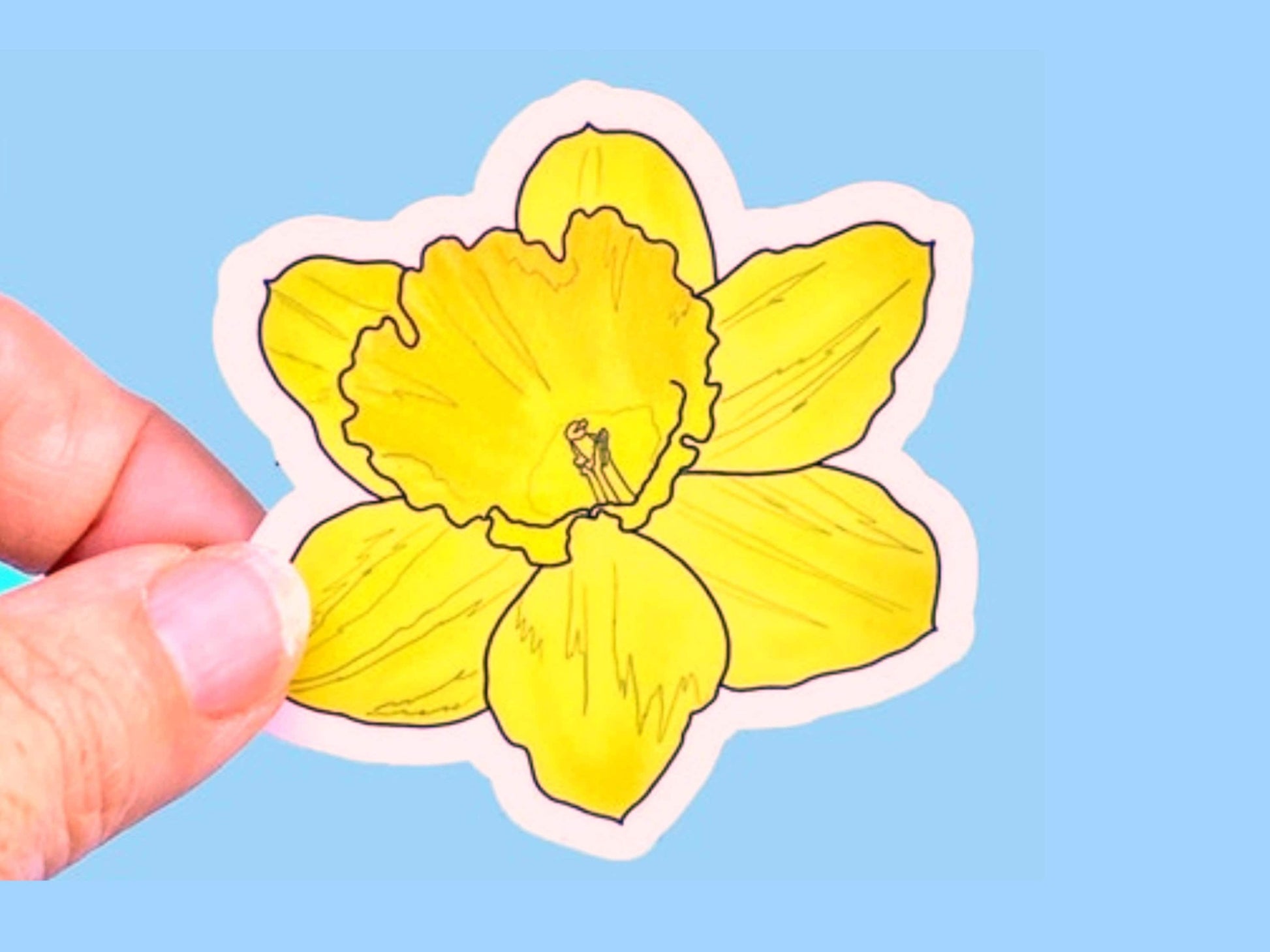 Daffodil Sticker, Waterproof Vinyl Decal, Laptop Sticker, Water Bottle Sticker, Aesthetic Stickers, choice of size