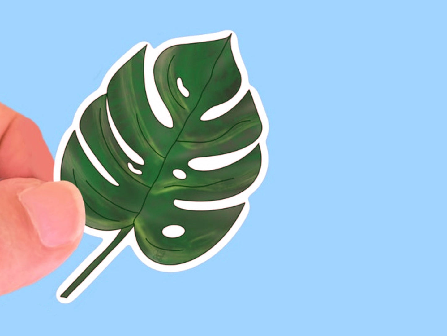 Monstera Giant Leaf, Foliage UV/ Waterproof Vinyl Sticker, laptop sticker, water bottle decal, gift for sticker collectorchoice of size